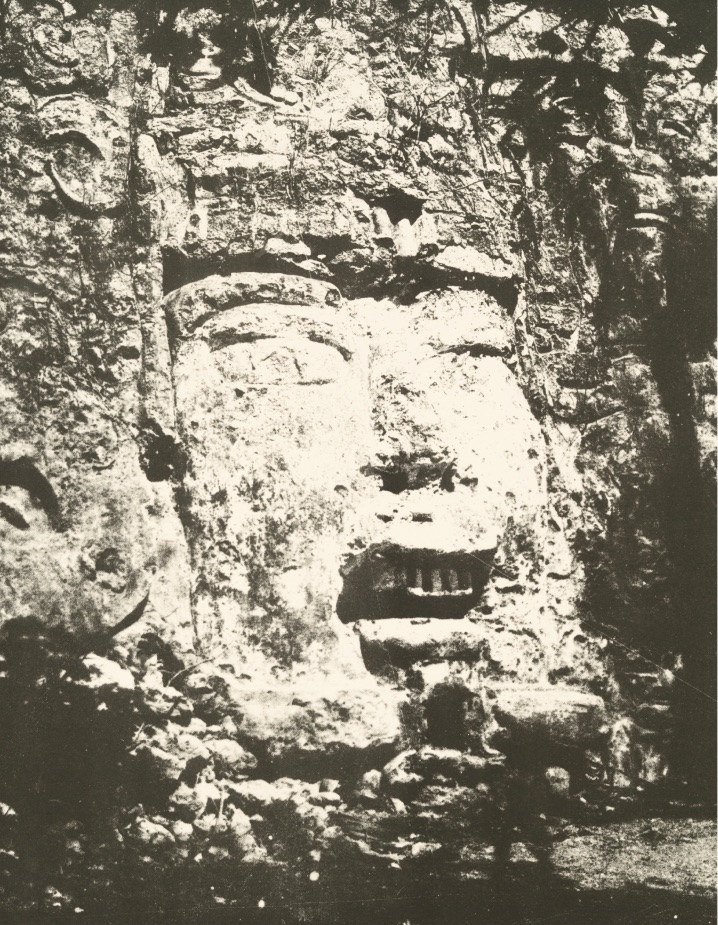 I vini delle&nbsp;Marche